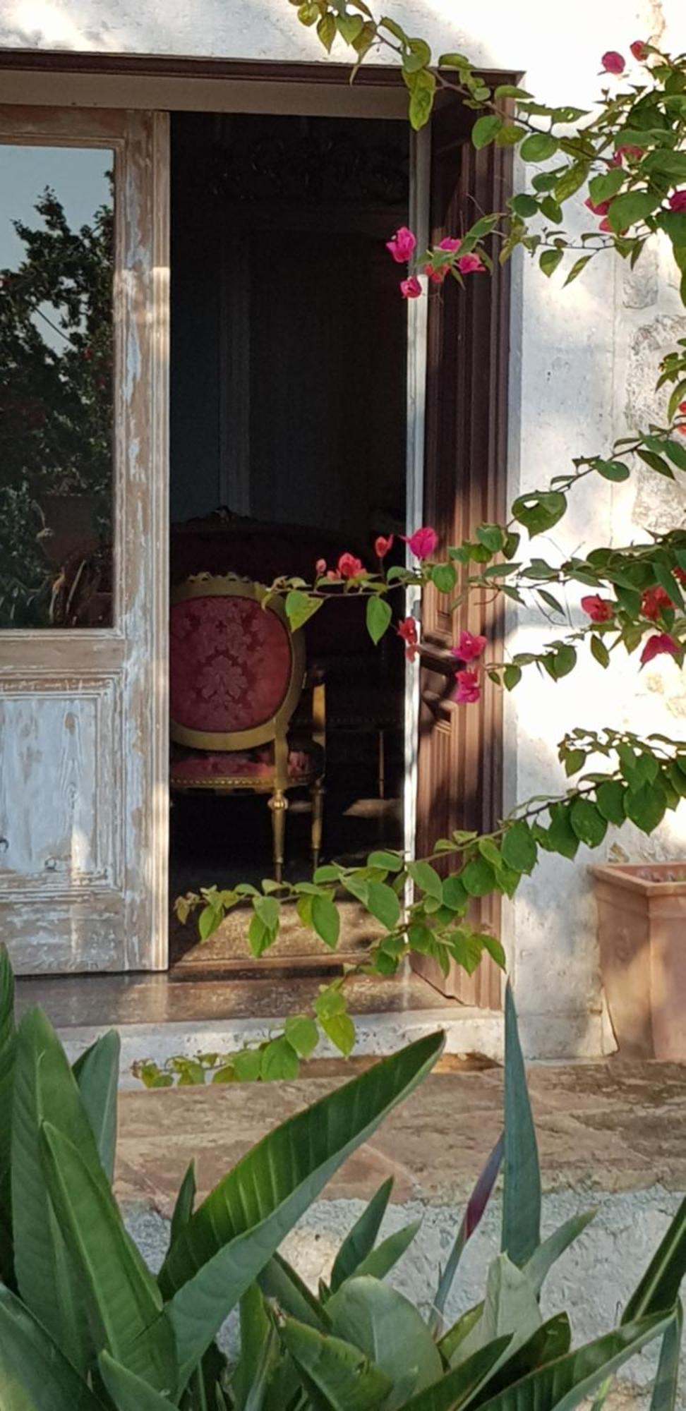 Ani Ariel Apartament *