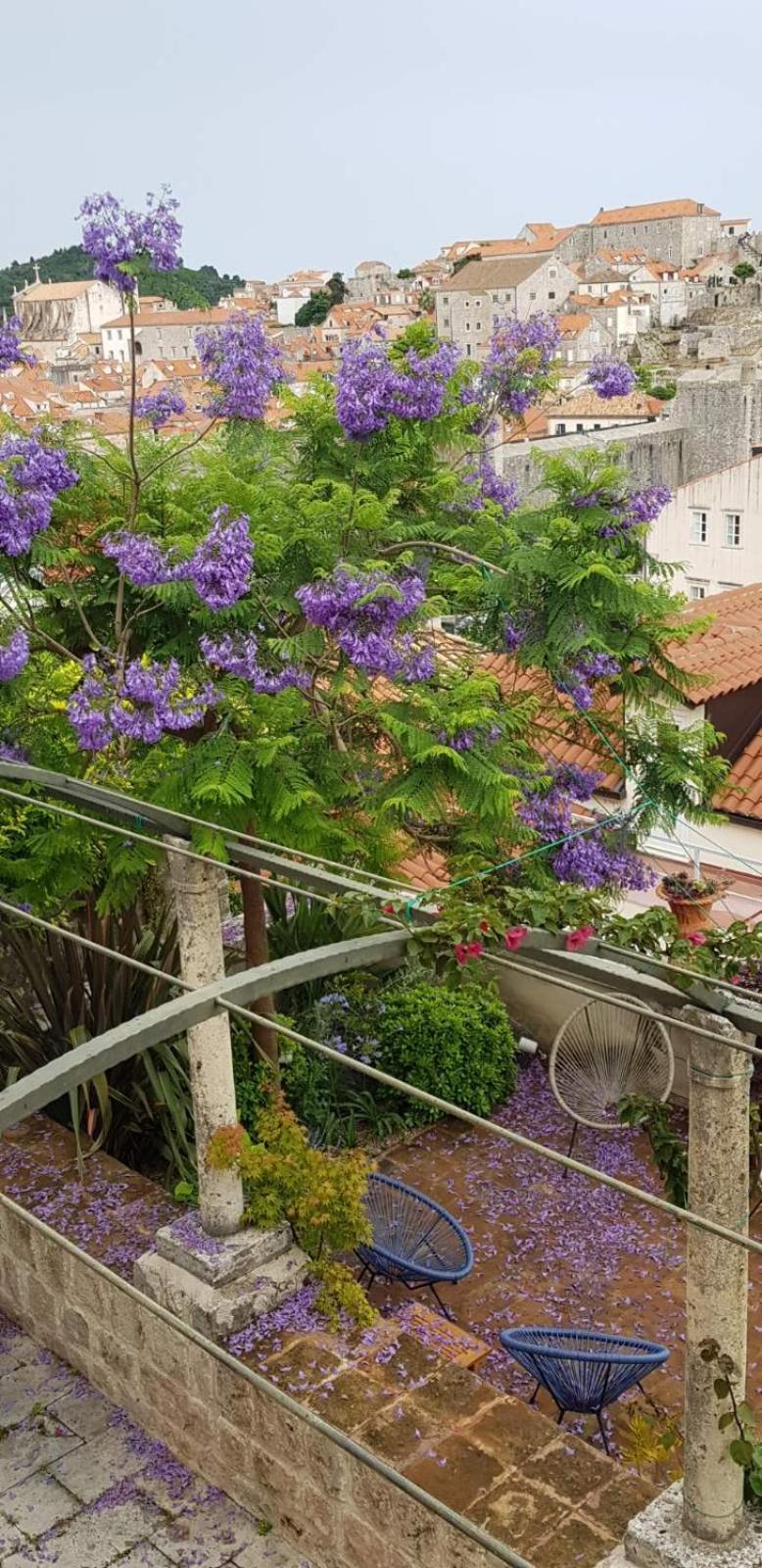 Apartmán Ani Ariel